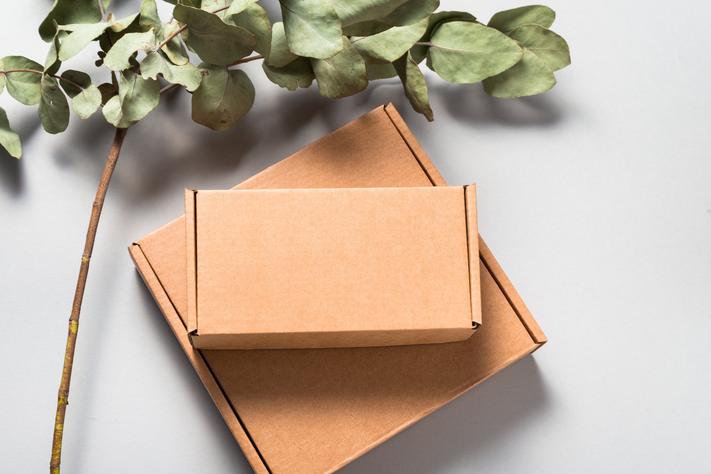 Brown Corrugated Cardboard Mailer Box on Wooden Desk with Eucaly